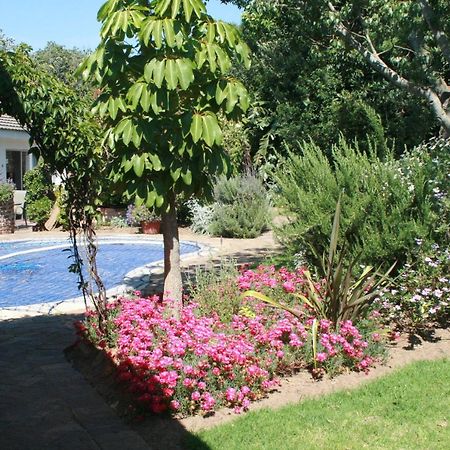 دوربانفيل Clouds Guest House المظهر الخارجي الصورة